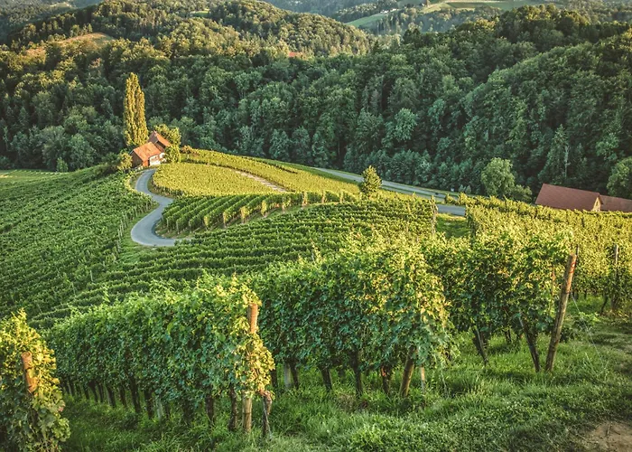 بيت ضيافة Vracko 3*